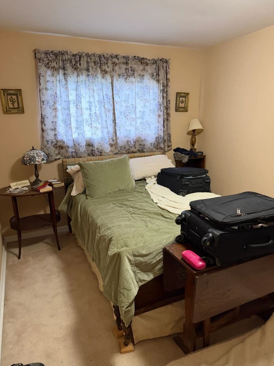 Great Glendale Heights! Boating equipment and decor, vintage furniture, packed garage and shed,more! photo 7