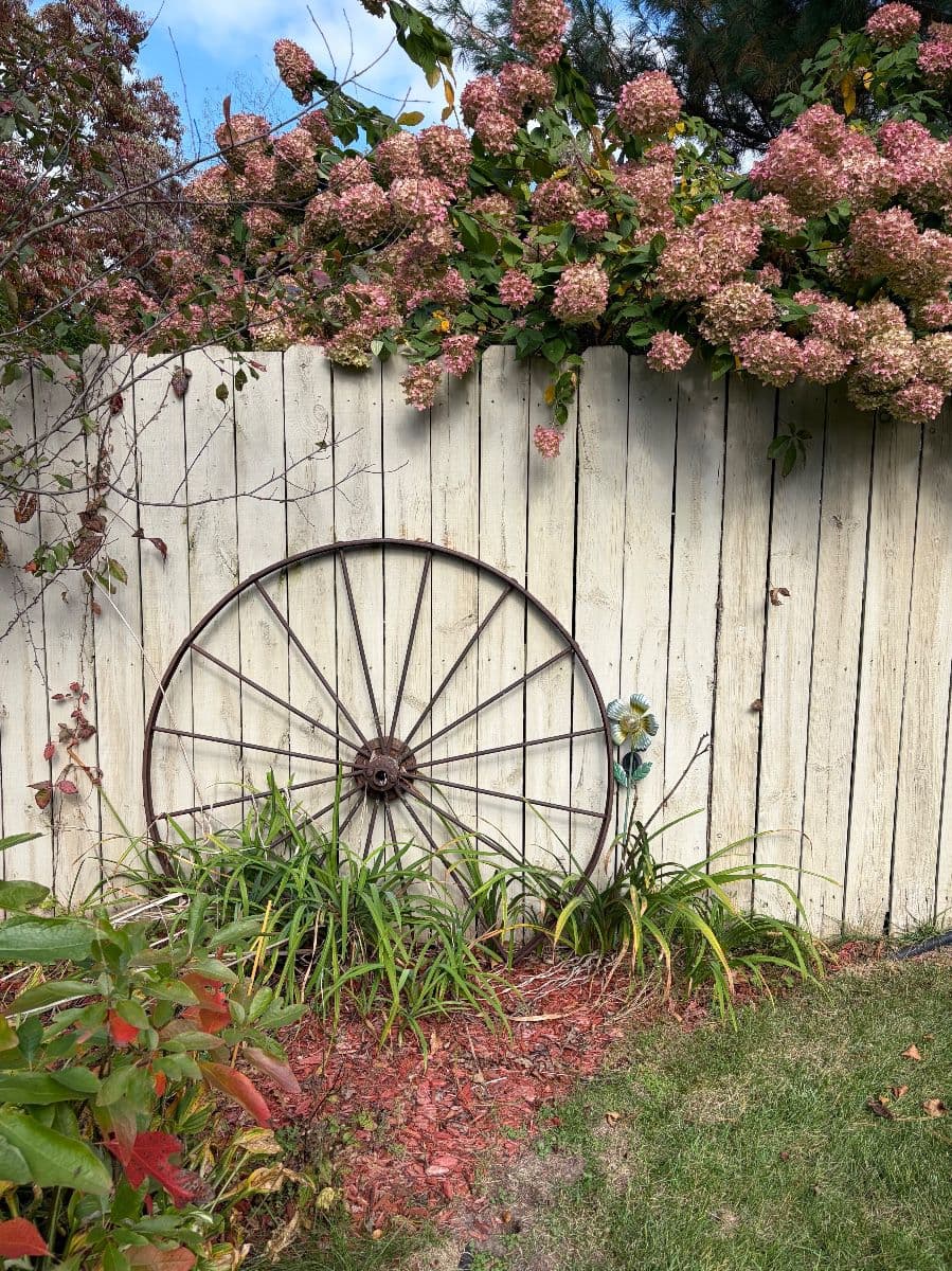 90s Time Capsule "Country Cottage" Estate Sale! photo 2