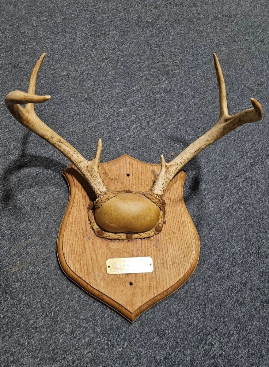 Estate Sales Warehouse GR Online Auction: Valve Index VR, Camping Gear, HyLoft Racks, Sound Bars photo 5