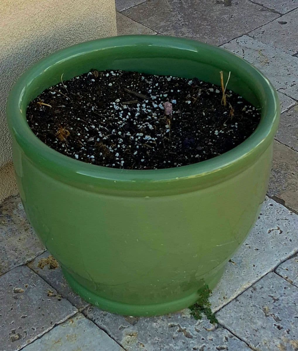 ALL STARS FOUNTAIN HILLS ️ photo 10