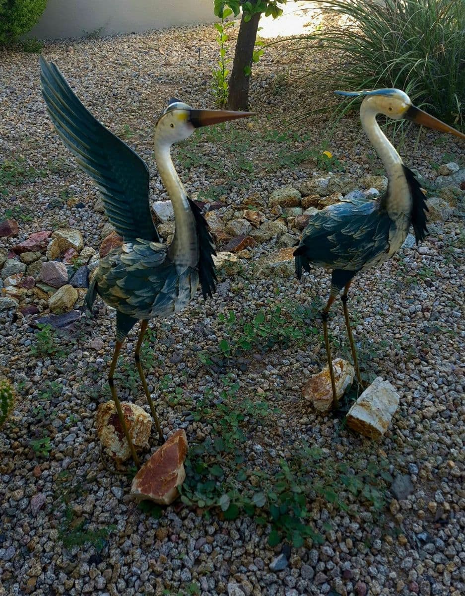 ALL STARS FOUNTAIN HILLS ️ photo 6