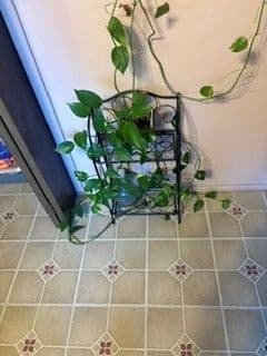 Southfield Estate Sale photo 11