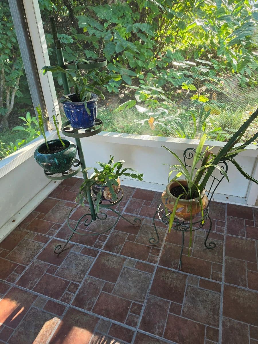 My 2nd Time Around presents a very nice Valrico home photo 10