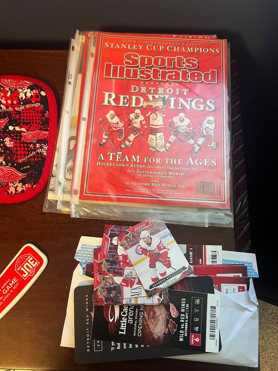 Red Wings, Outdoor, Christmas Villages, Beautiful Furniture Livonia Estate Sale photo 1