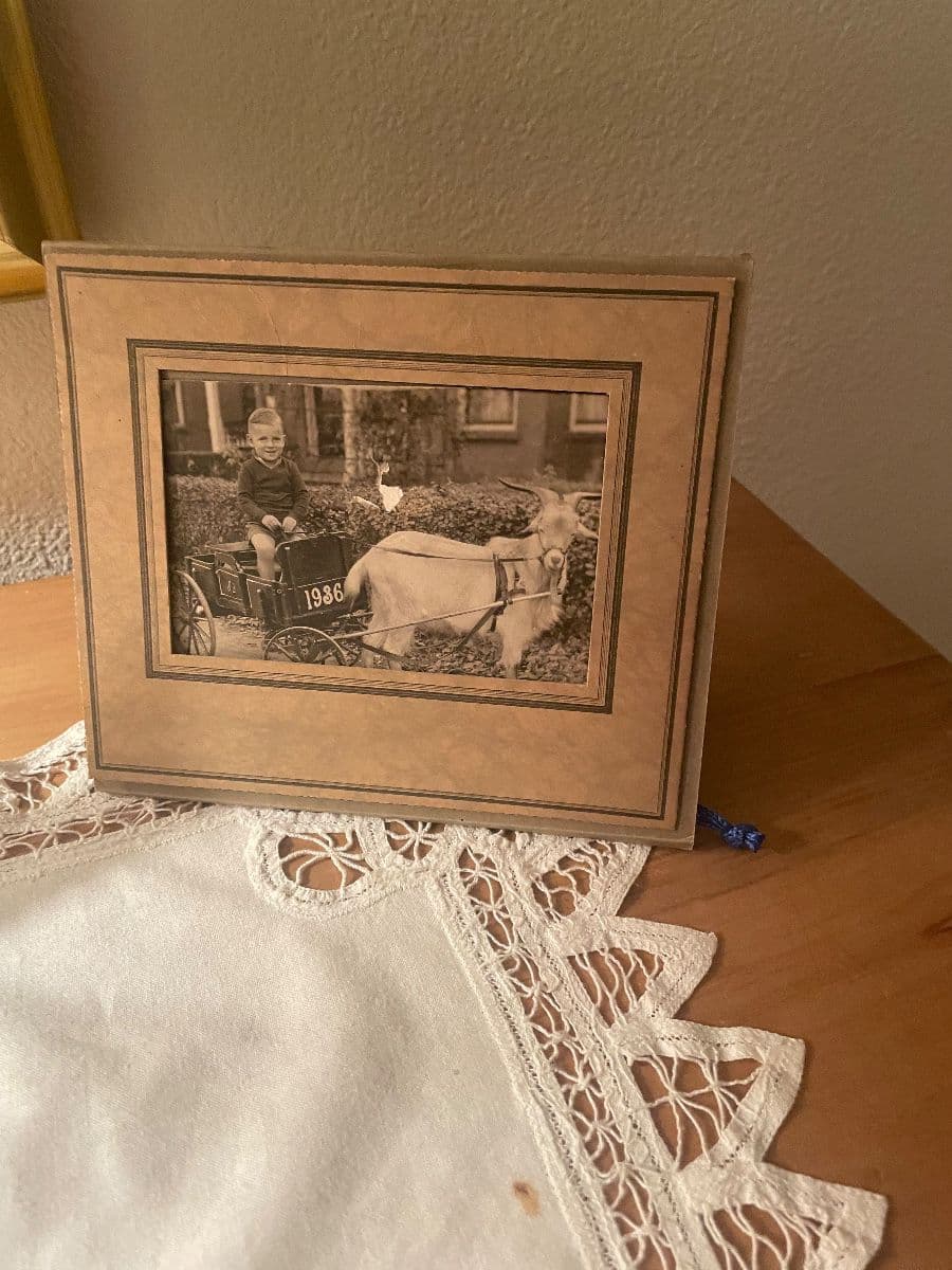 Gold River Estate Sale photo 3