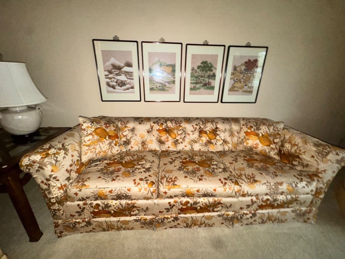 Downsizing Sale in Hastings photo 8