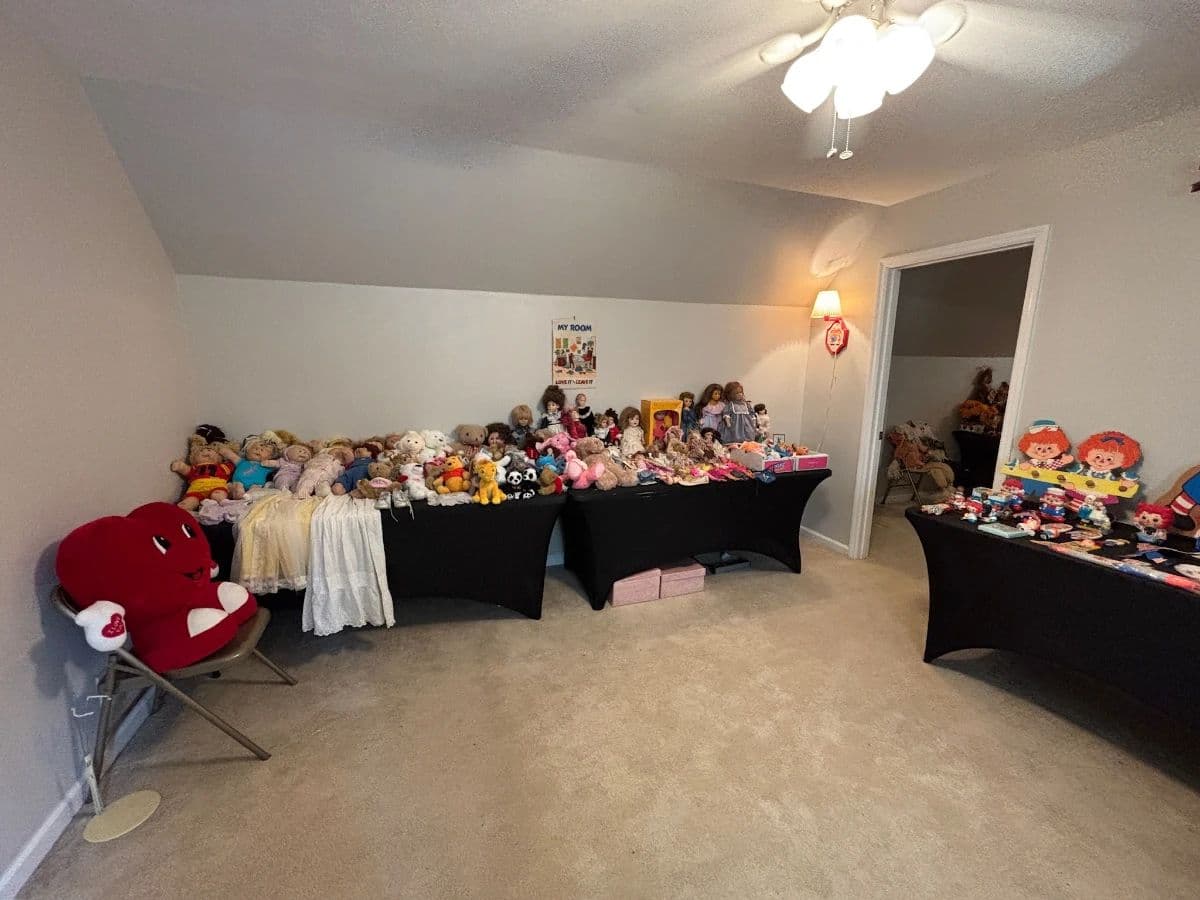 Packed Franklin Estate Sale: Christmas, Collectibles and More! photo 12
