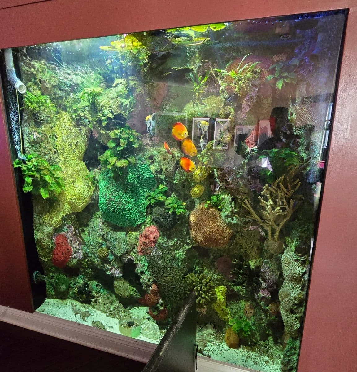 MANDEVILLE CANYON ESTATE SALE by MELROSE TREASURES ESTATE SALES photo 2